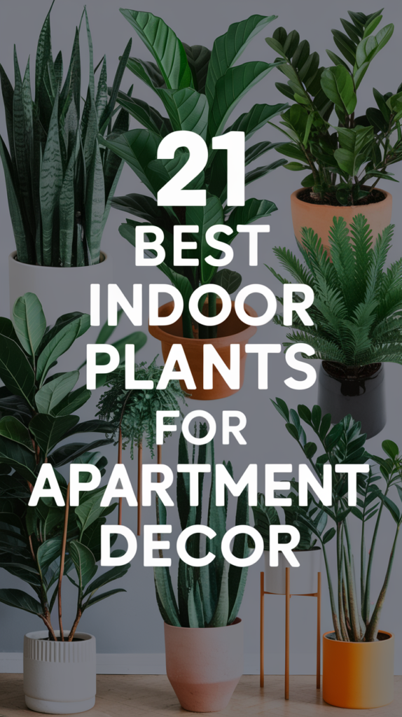 21 Best Indoor Plants for Apartment Decor